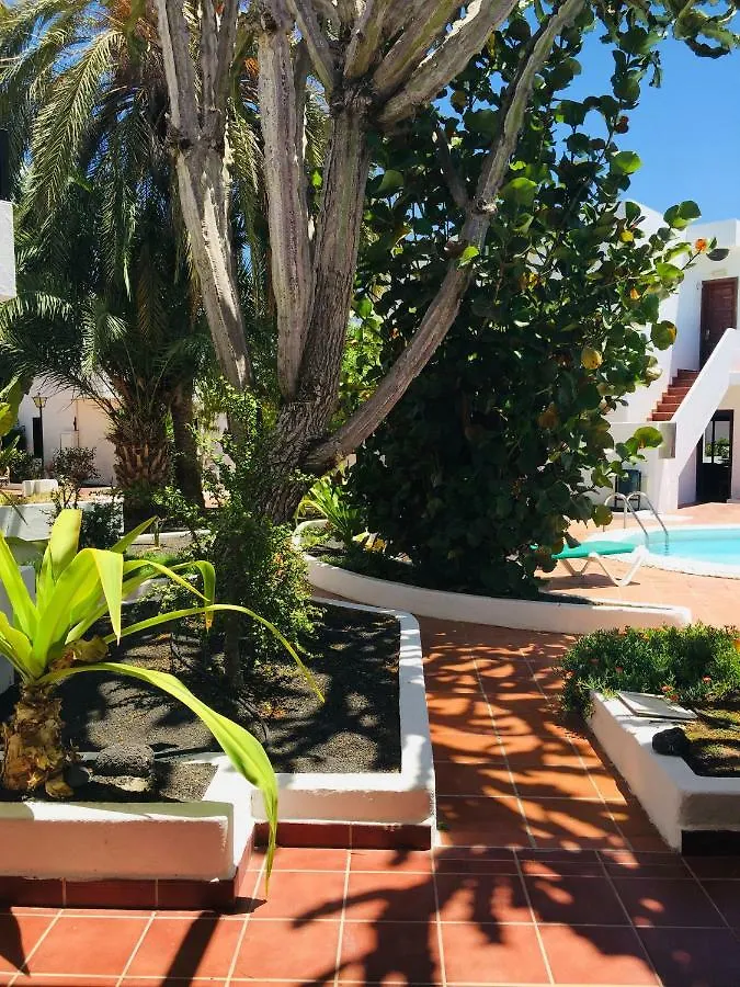 Apartamentos Maribel Puerto del Carmen  0*, Puerto del Carmen (Lanzarote)