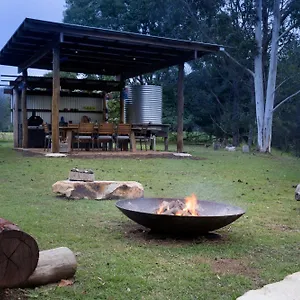 Greenlee , Canungra Australia